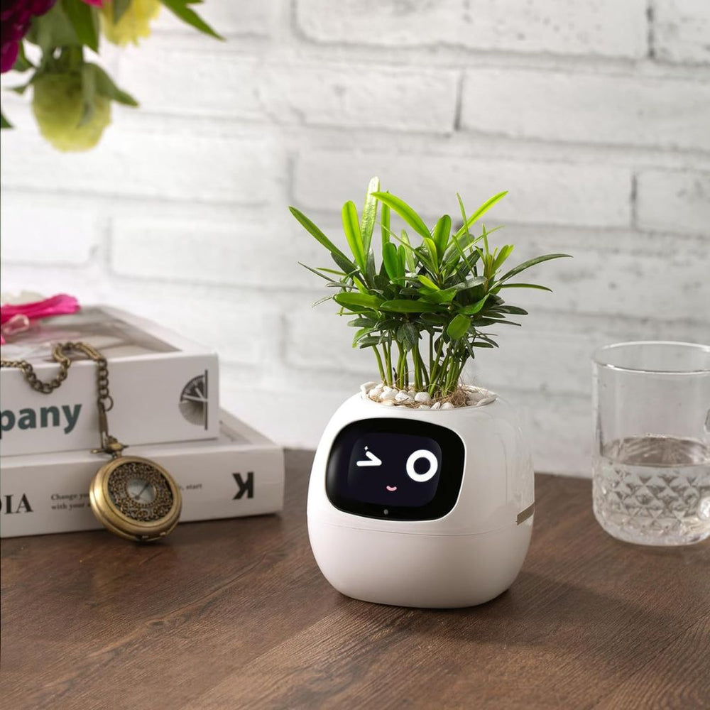 Ivy Smart Planter Endless Expression With 7 Smart Scensor